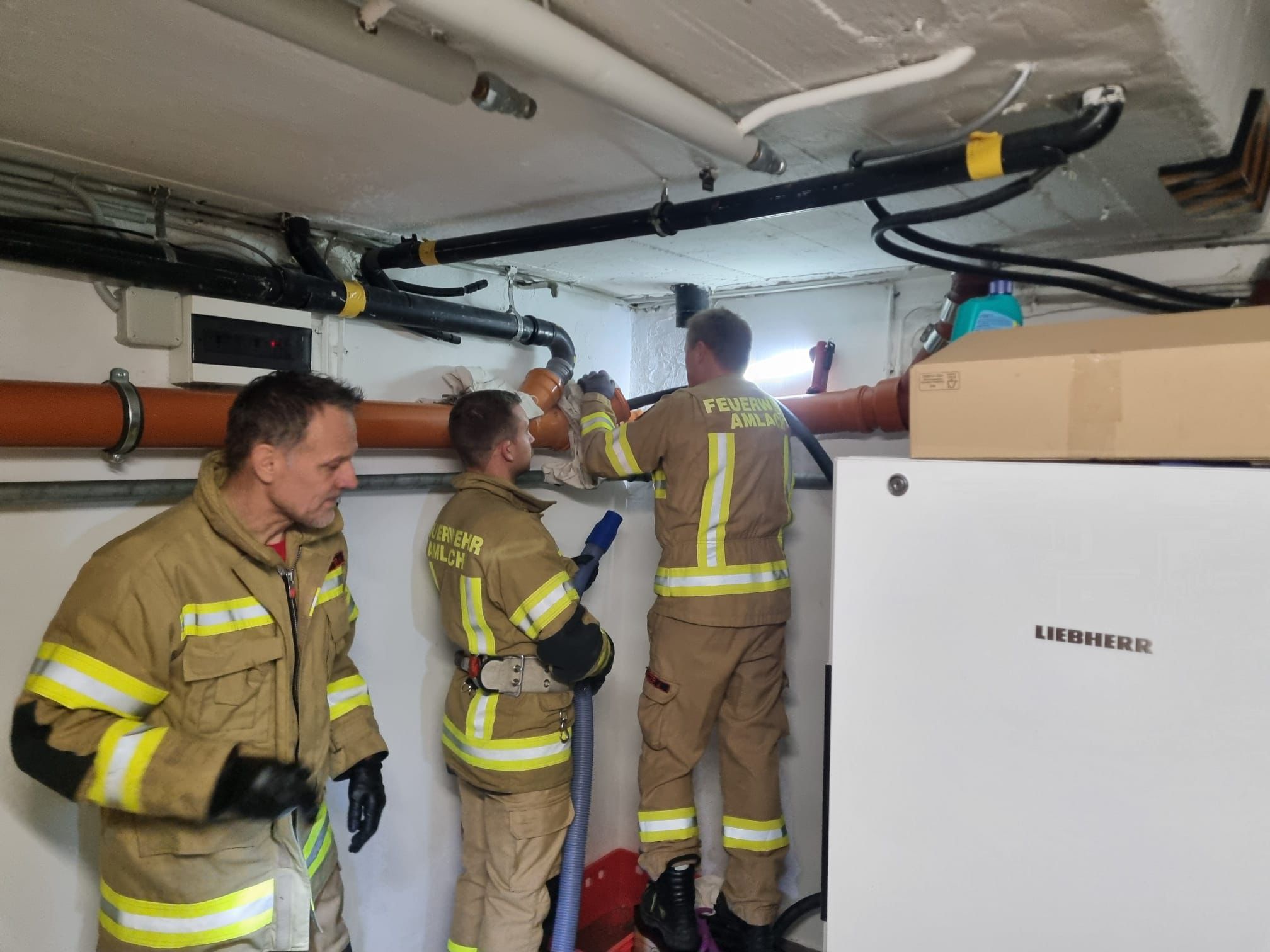 WhatsApp Image 2026-02-15 at 15.24.39 3.jpeg